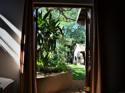 Wensleydale Guest Lodge Scottsville Pietermaritzburg Kwazulu Natal South Africa Palm Tree, Plant, Nature, Wood, Framing, Garden