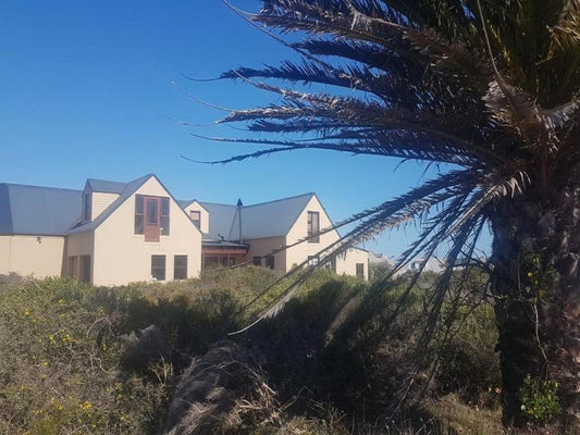 West Coast Guesthouse Grotto Bay Western Cape South Africa Building, Architecture, House, Palm Tree, Plant, Nature, Wood