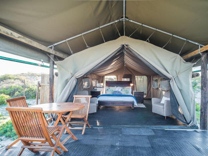 Fork North @ West Coast Luxury Tents