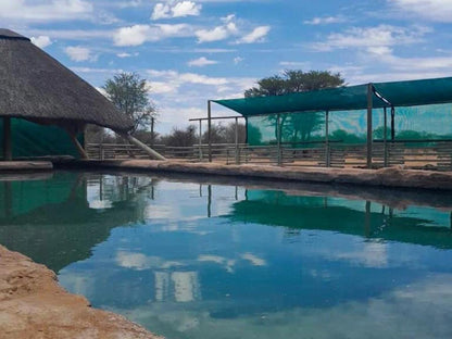 West Nest Lodge, Swimming Pool