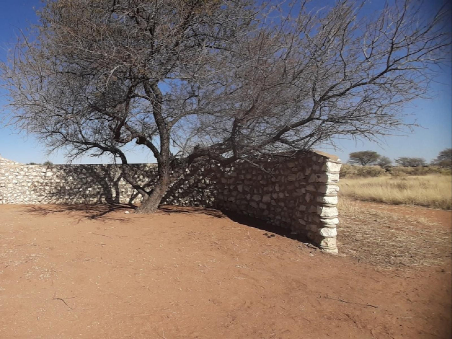 West Nest Lodge, Thatched Room, Desert, Nature, Sand