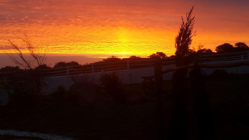 Westcoast Cactus Brittanica Heights St Helena Bay Western Cape South Africa Colorful, Sky, Nature, Clouds, Sunset