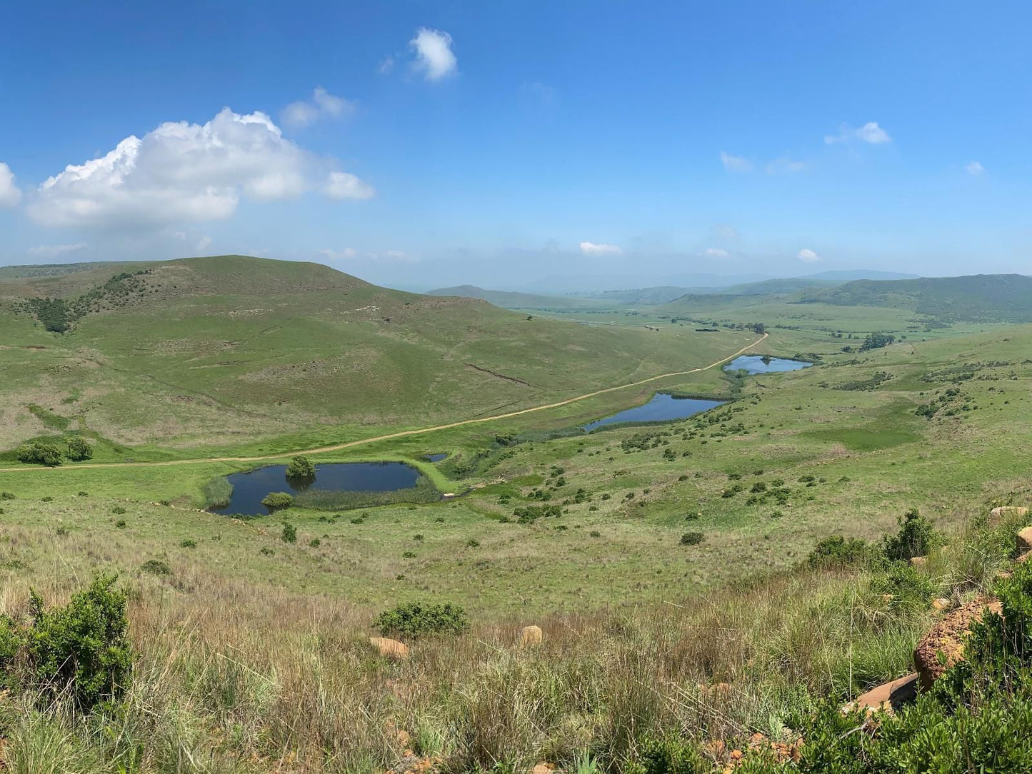 Wetlands Game Lodge Wakkerstroom Mpumalanga South Africa Complementary Colors, Mountain, Nature, Highland