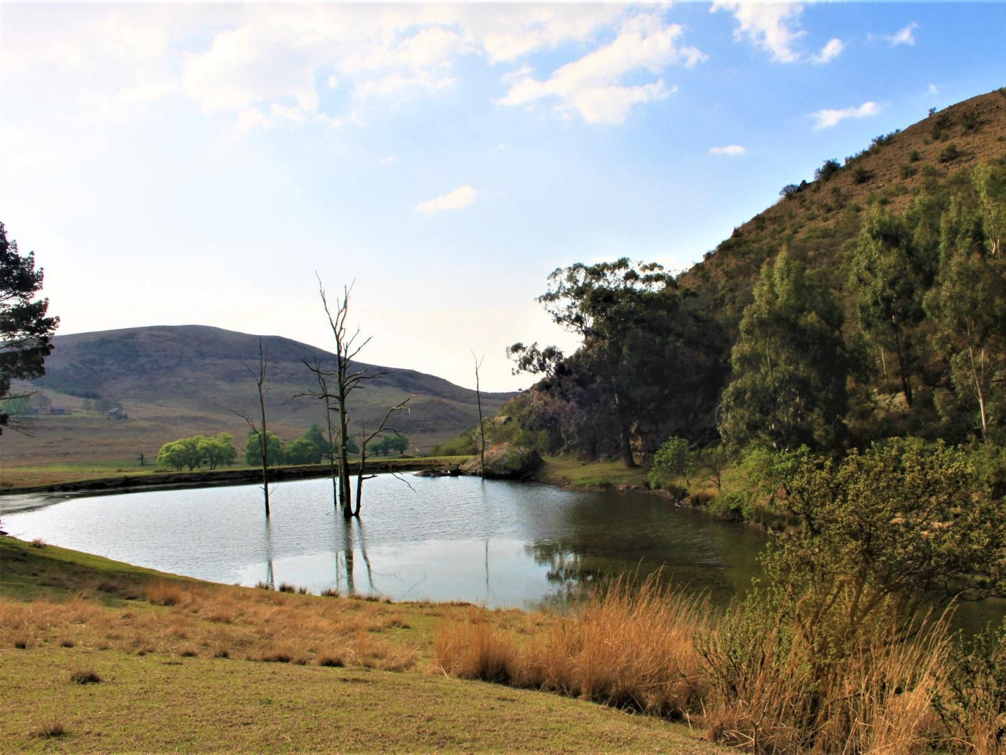 Wetlands Game Lodge Wakkerstroom Mpumalanga South Africa River, Nature, Waters, Highland