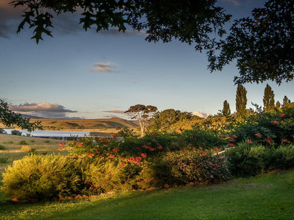 Wetlands Country House And Sheds Wakkerstroom Mpumalanga South Africa Framing, Garden, Nature, Plant