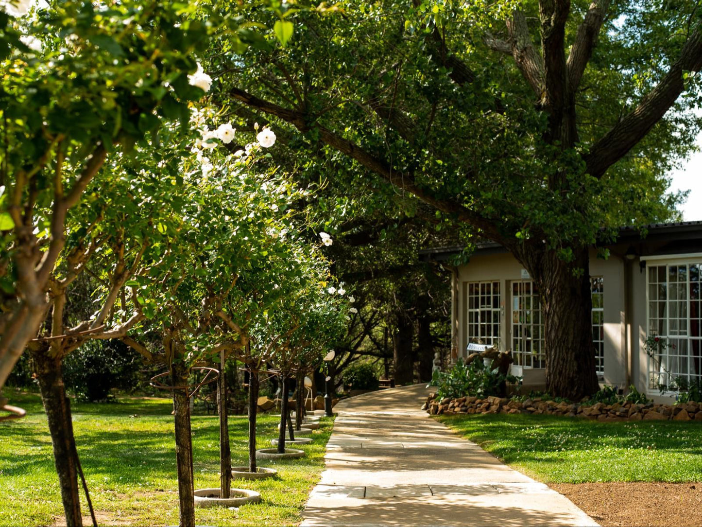 Wetlands Country House And Sheds Wakkerstroom Mpumalanga South Africa House, Building, Architecture, Plant, Nature, Tree, Wood