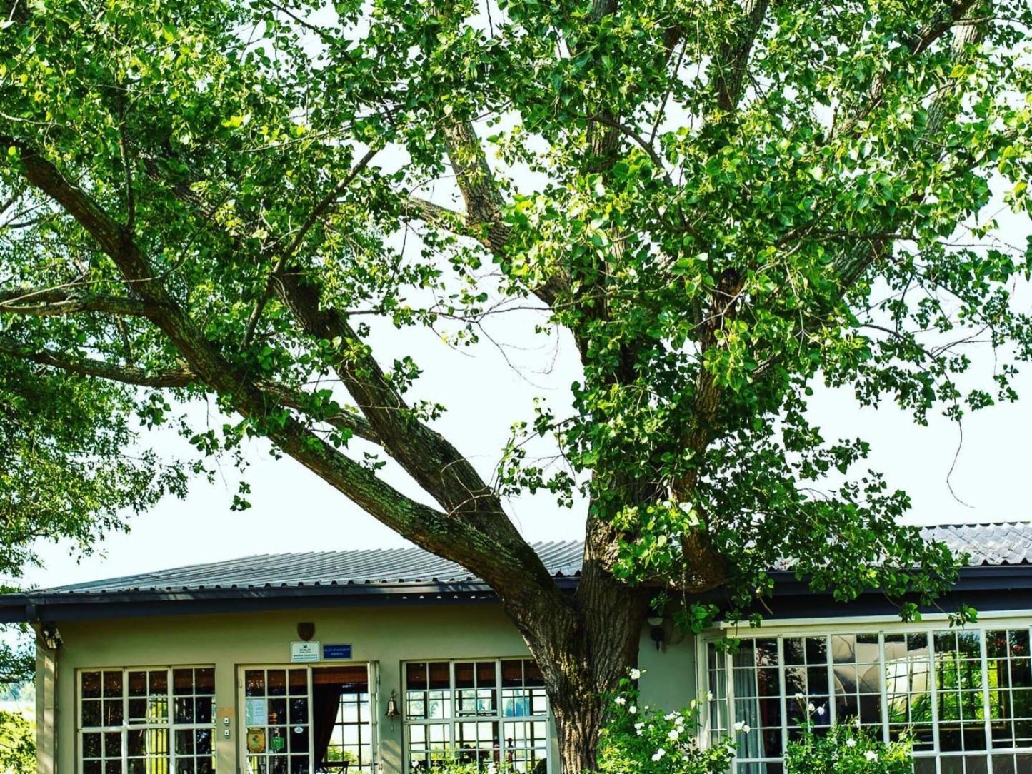 Wetlands Country House And Sheds Wakkerstroom Mpumalanga South Africa House, Building, Architecture, Tree, Plant, Nature, Wood