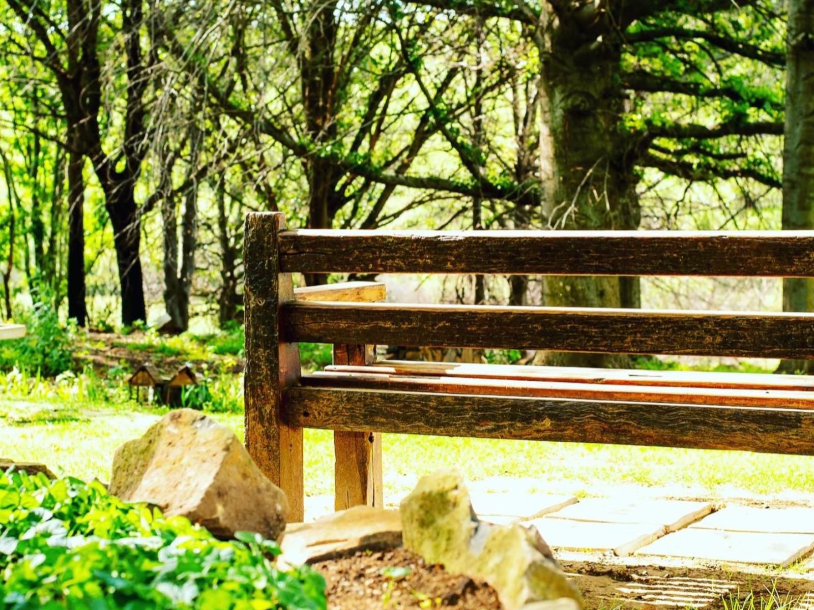 Wetlands Country House And Sheds Wakkerstroom Mpumalanga South Africa Colorful, Forest, Nature, Plant, Tree, Wood