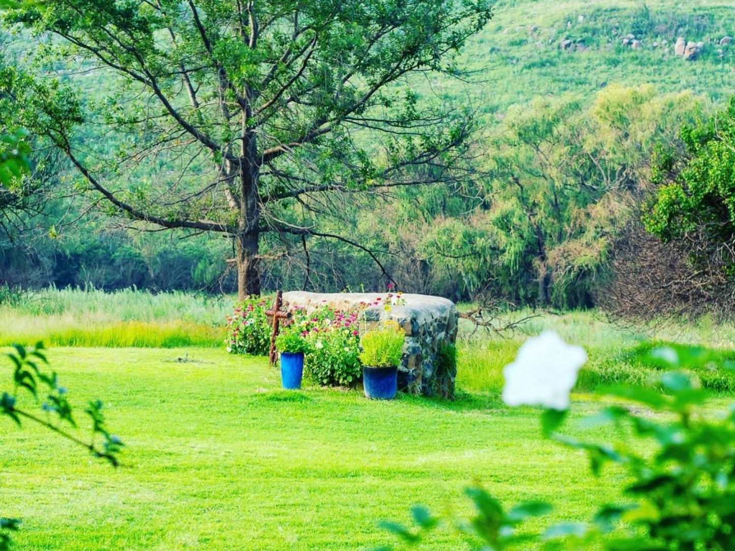 Wetlands Country House And Sheds Wakkerstroom Mpumalanga South Africa Field, Nature, Agriculture, Meadow, Plant, Tree, Wood, Garden