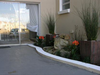 Whale Watchers Inn Witsand Western Cape South Africa House, Building, Architecture, Palm Tree, Plant, Nature, Wood, Garden