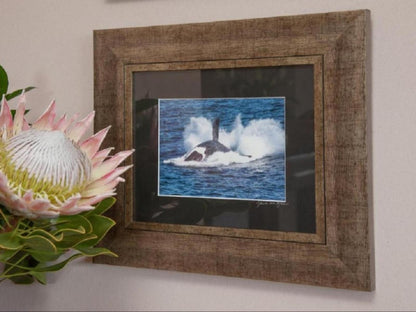 Whale Away Guest House Hermanus Western Cape South Africa Orca, Marine Animal, Animal, Predator, Ocean, Nature, Waters, Picture Frame, Art