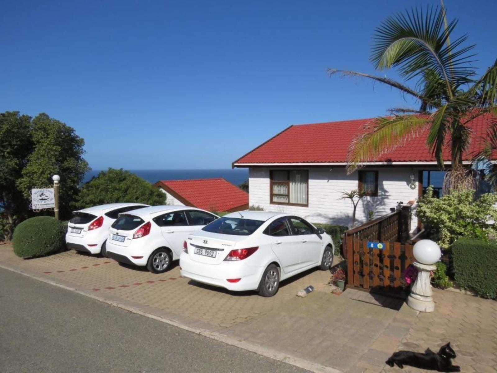 At Whale Phin Guest House Mossel Bay Western Cape South Africa House, Building, Architecture, Palm Tree, Plant, Nature, Wood, Window, Car, Vehicle