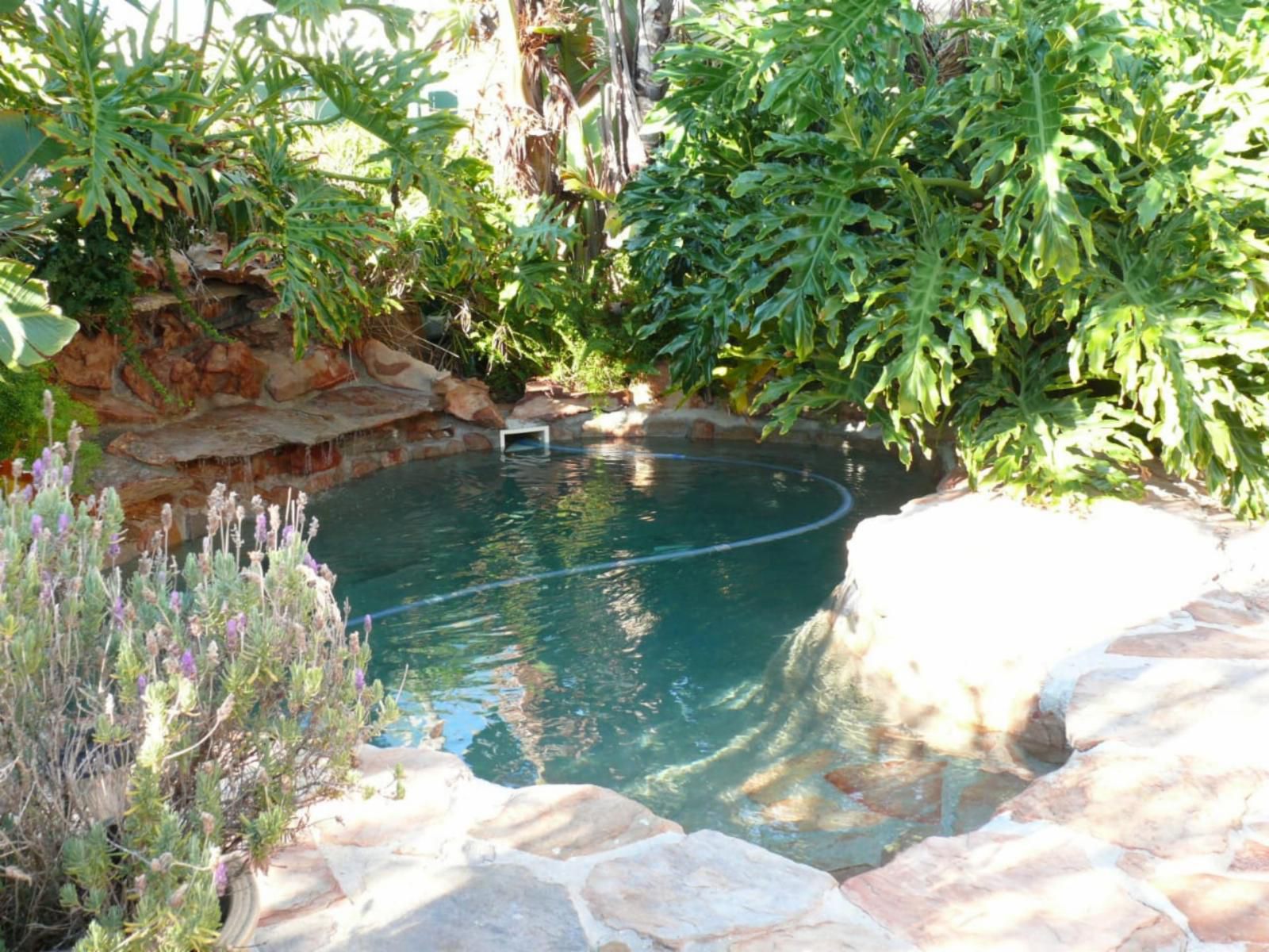 Whalers Bandb Hermanus Western Cape South Africa Palm Tree, Plant, Nature, Wood, Garden, Swimming Pool