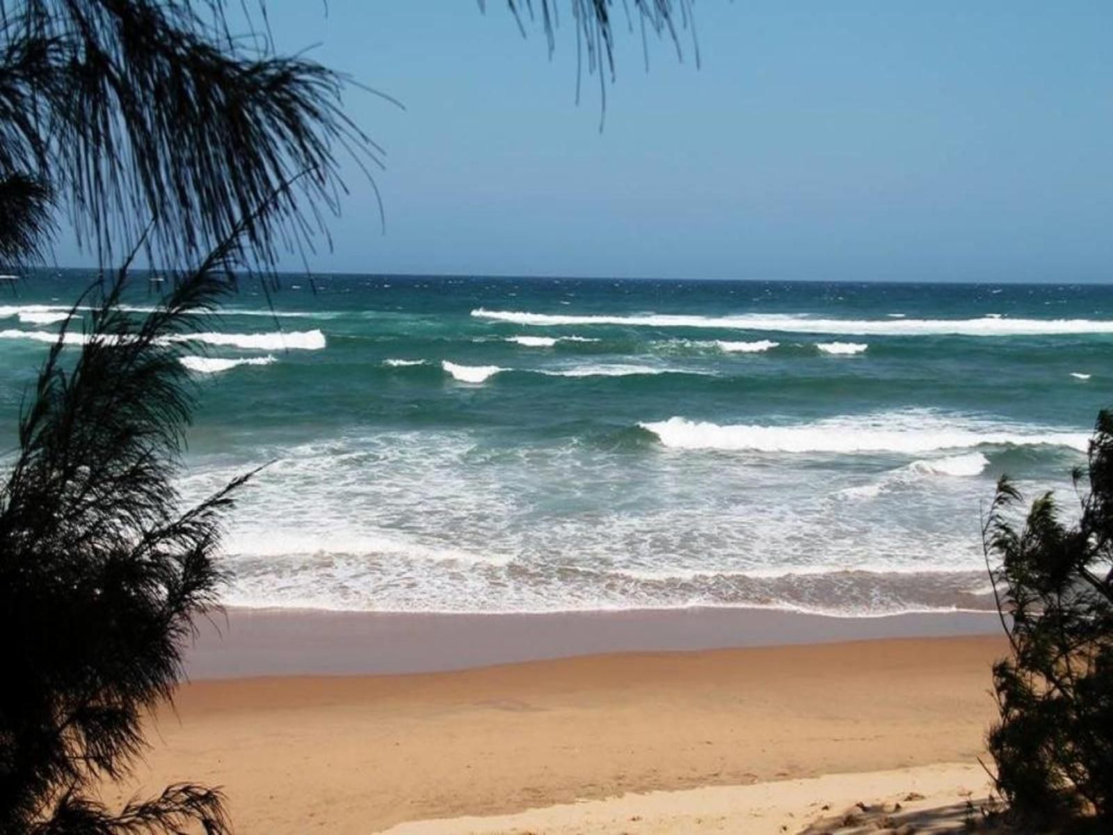 Whalesong Guest House St Lucia Kwazulu Natal South Africa Beach, Nature, Sand, Palm Tree, Plant, Wood, Wave, Waters, Ocean