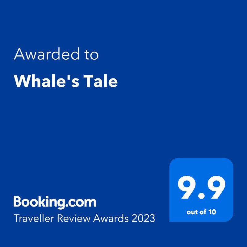 Whale S Tale Sunnycove Cape Town Western Cape South Africa Colorful