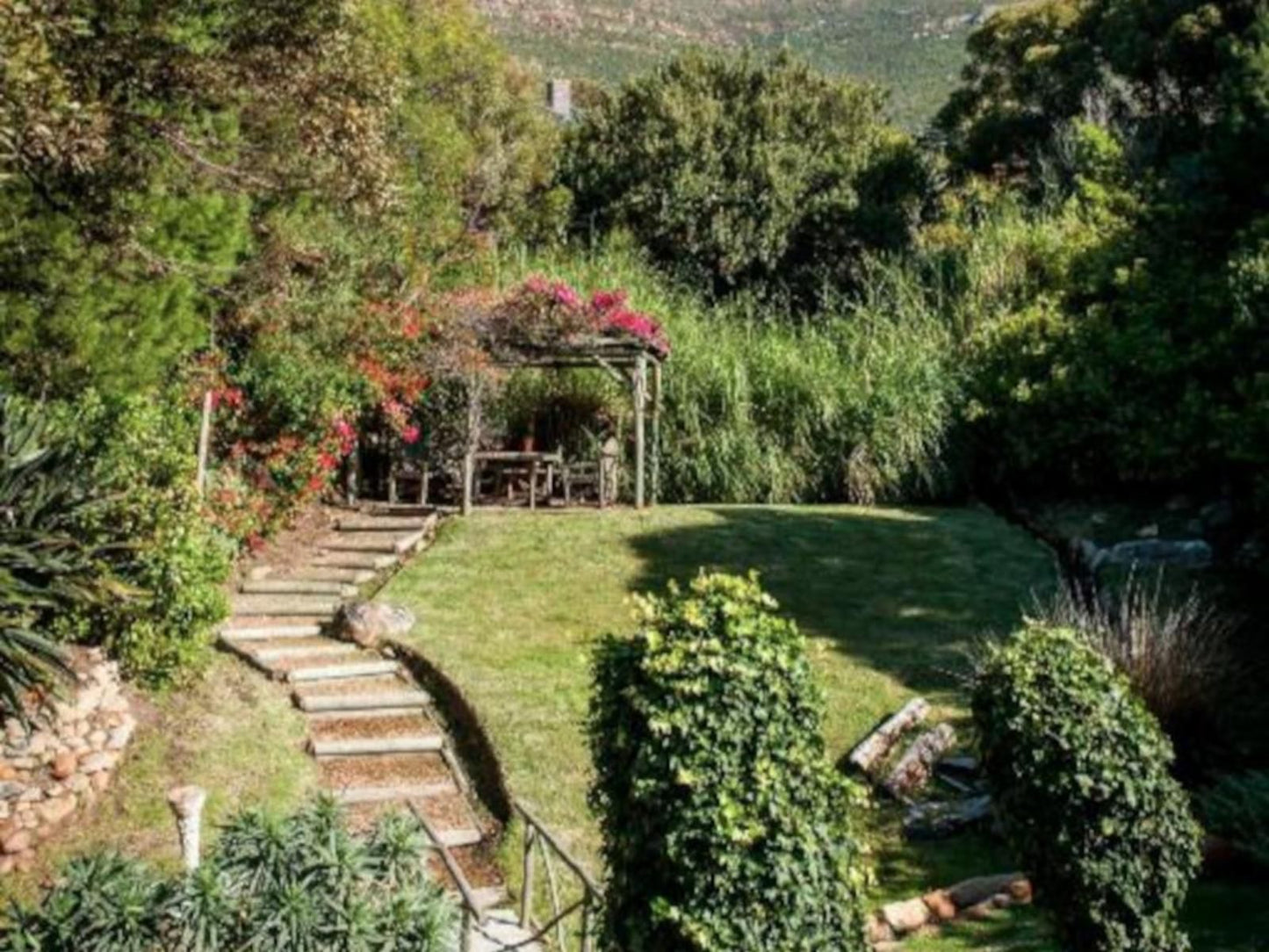 Whale View Manor Boutique Hotel And Spa Simons Town Cape Town Western Cape South Africa Plant, Nature, Garden