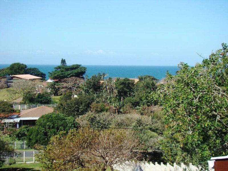 What More Ivy Beach Port Edward Kwazulu Natal South Africa Complementary Colors, Beach, Nature, Sand, Palm Tree, Plant, Wood