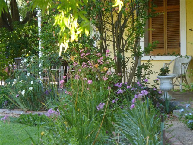 Wheatfields Guest House Moorreesburg Western Cape South Africa Plant, Nature, Garden