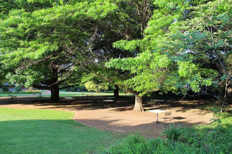 Whispering Pines Magaliesburg Magaliesburg Gauteng South Africa River, Nature, Waters, Tree, Plant, Wood, Garden