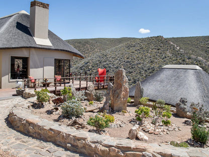 White Lion Lodge On The Sanbona Wildlife Reserve, Cactus, Plant, Nature