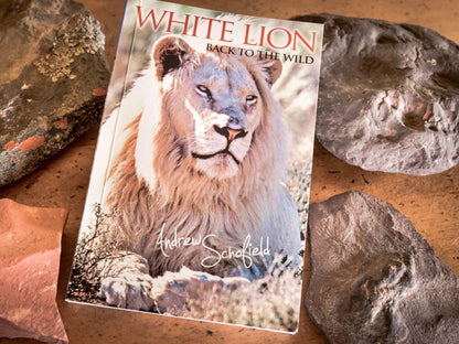 White Lion Lodge On The Sanbona Wildlife Reserve, Lion, Mammal, Animal, Big Cat, Predator