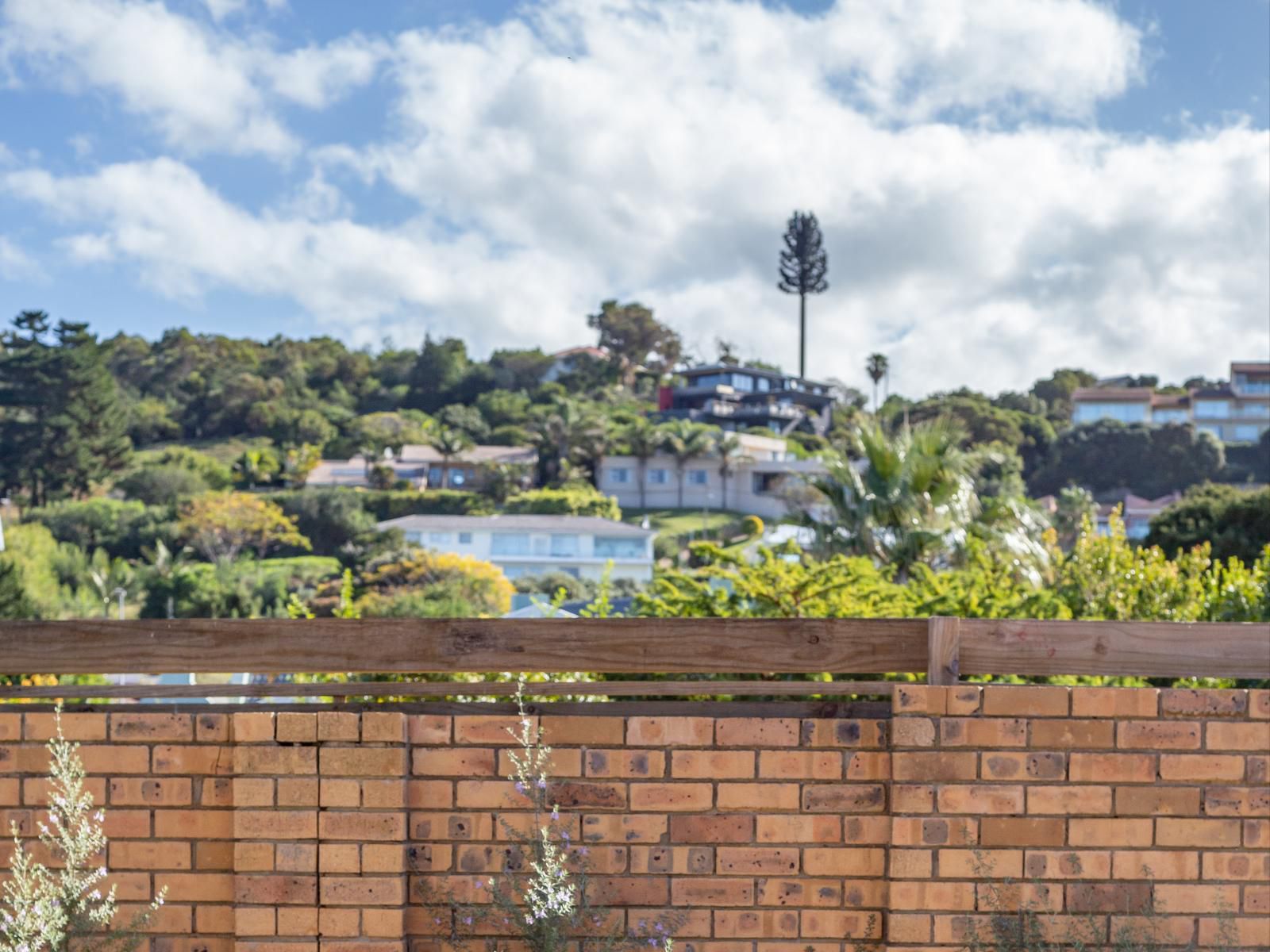 White Rabbit House Plettenberg Bay Western Cape South Africa 