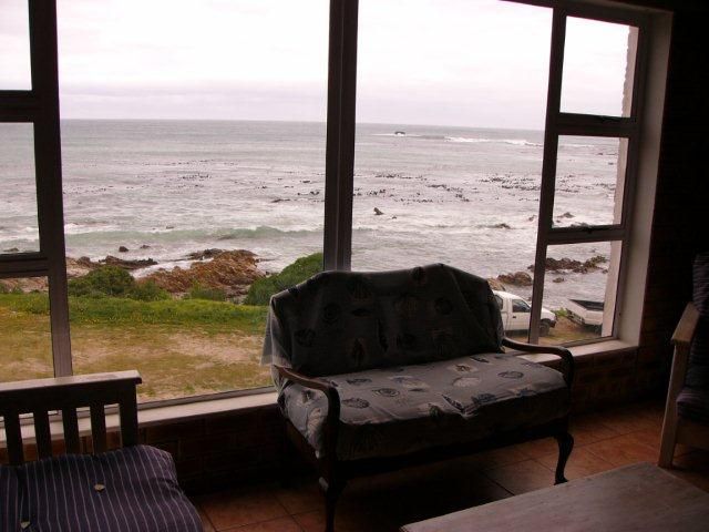 White Shark Backpackers Kleinbaai Western Cape South Africa Beach, Nature, Sand, Ocean, Waters