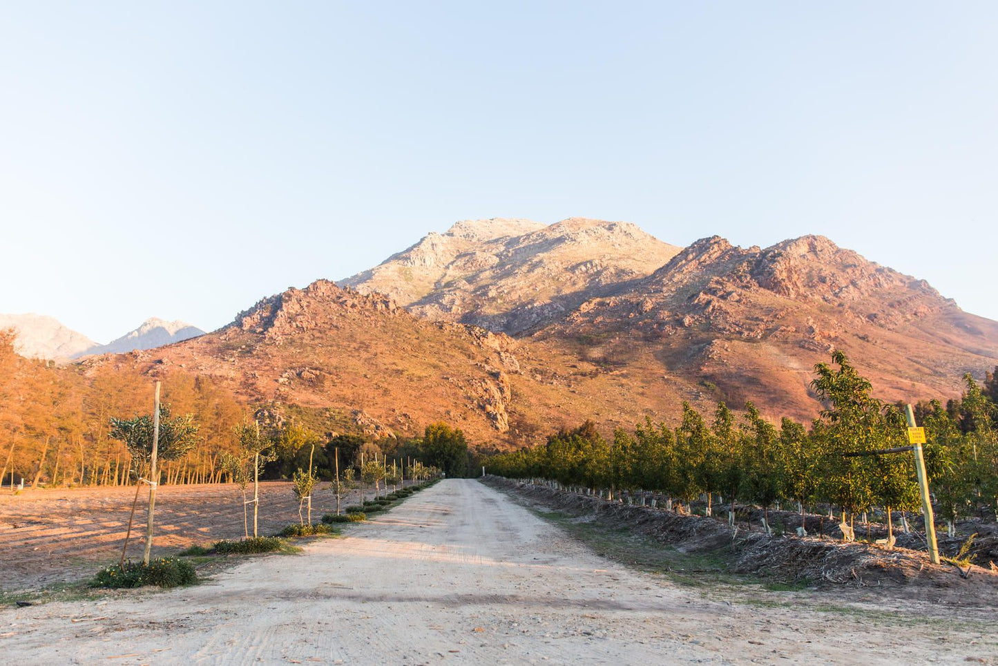 White Bridge Farm Wolseley Western Cape South Africa Mountain, Nature