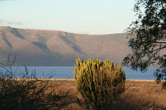 White Elephant Bush Camp Pongola Kwazulu Natal South Africa Lake, Nature, Waters