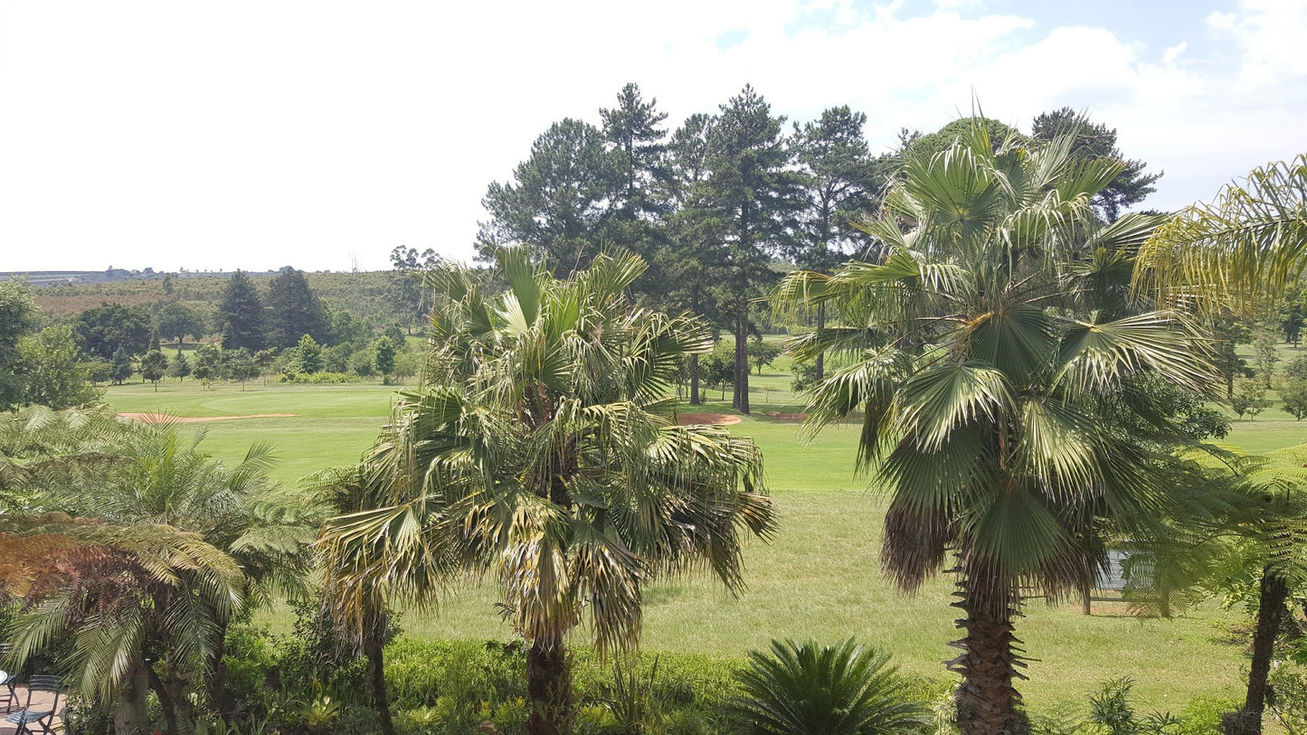 White River Golf Lodge White River Mpumalanga South Africa Palm Tree, Plant, Nature, Wood, Golfing, Ball Game, Sport