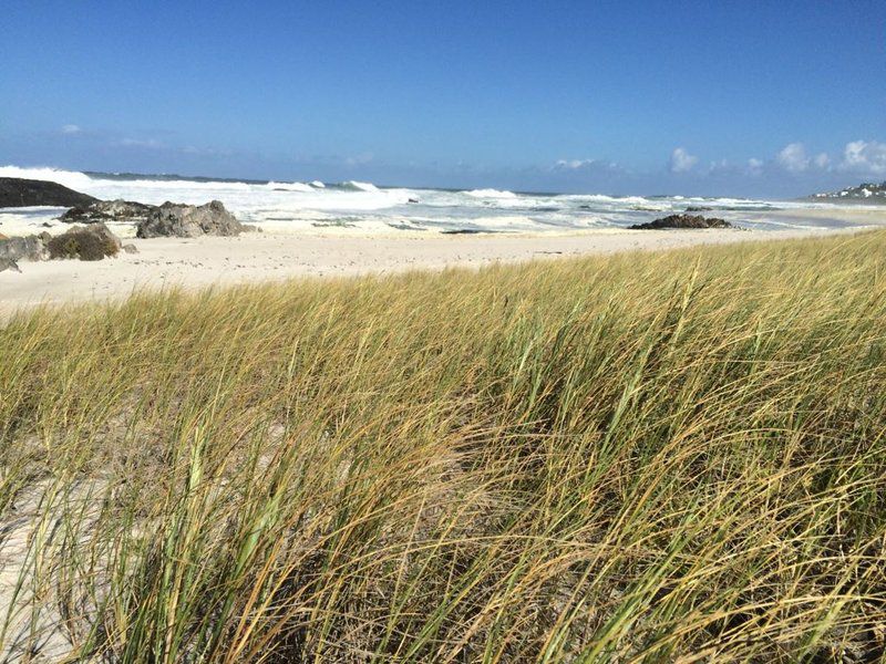 White Sands Yzerfontein Western Cape South Africa Complementary Colors, Beach, Nature, Sand, Ocean, Waters