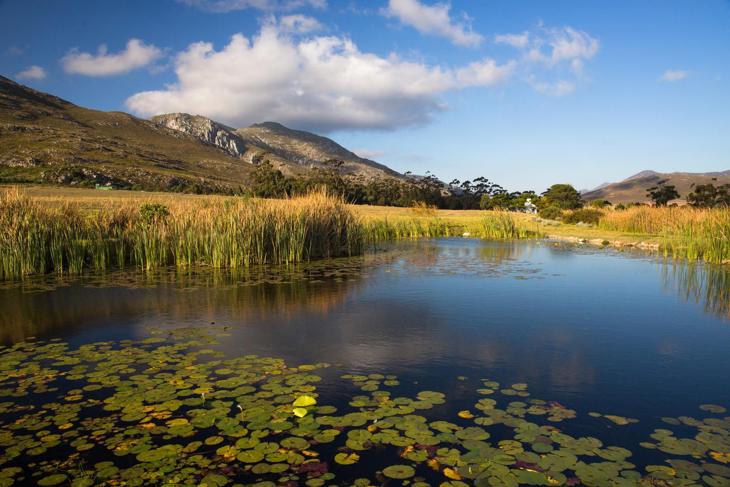 White Water Farm Stanford Western Cape South Africa Complementary Colors, Mountain, Nature