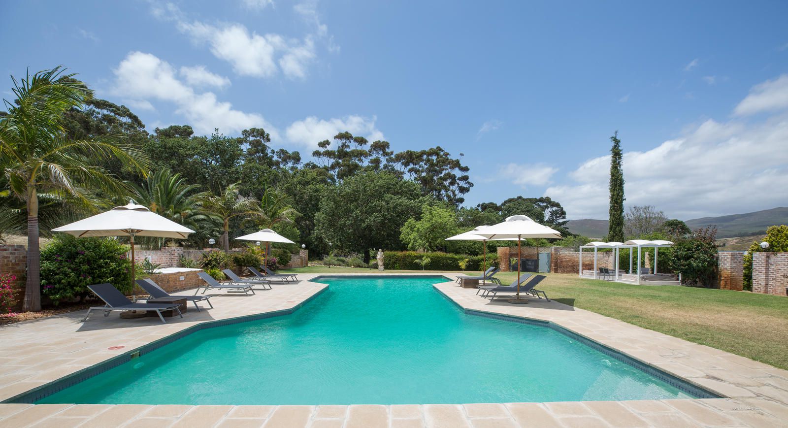 White Water Farm Stanford Western Cape South Africa Palm Tree, Plant, Nature, Wood, Swimming Pool