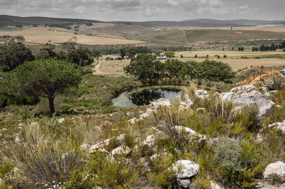 White Water Farm Stanford Western Cape South Africa Ruin, Architecture, Nature