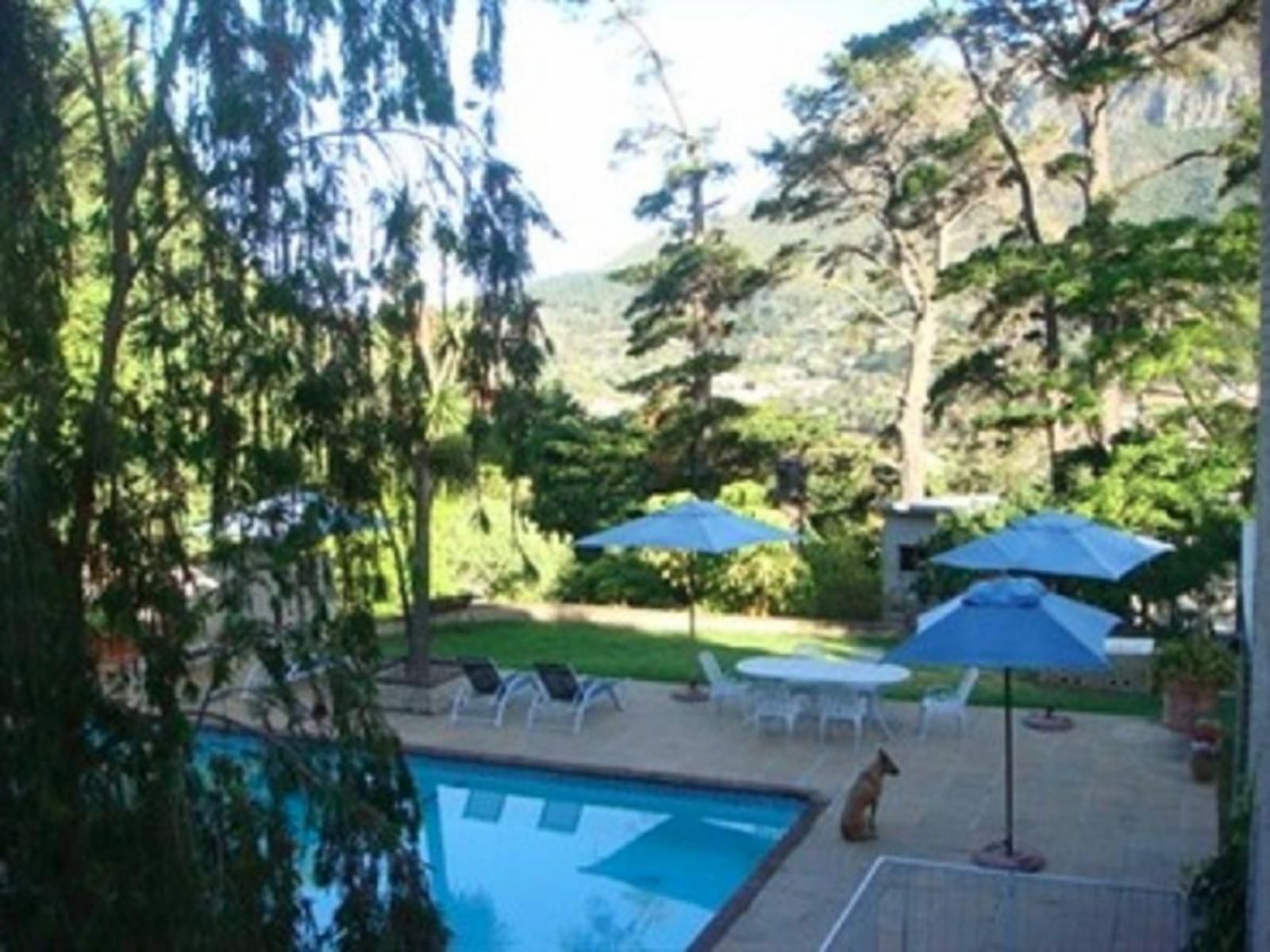 Whittlers Lodge Hout Bay Cape Town Western Cape South Africa Garden, Nature, Plant, Swimming Pool