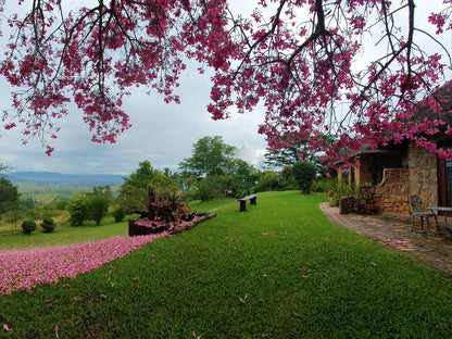 Wide Horizons Mountain Retreat, Blossom, Plant, Nature