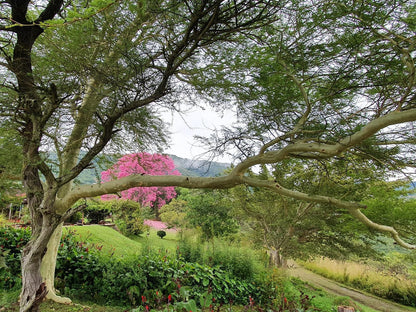 Wide Horizons Mountain Retreat, Plant, Nature, Garden