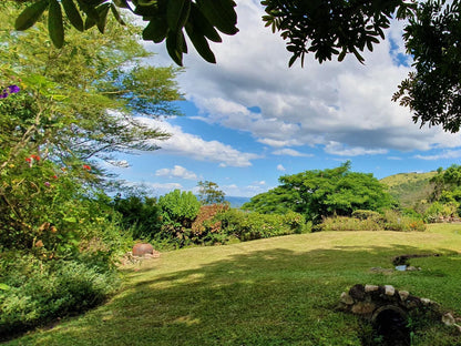 Wide Horizons Mountain Retreat, Tree, Plant, Nature, Wood, Garden