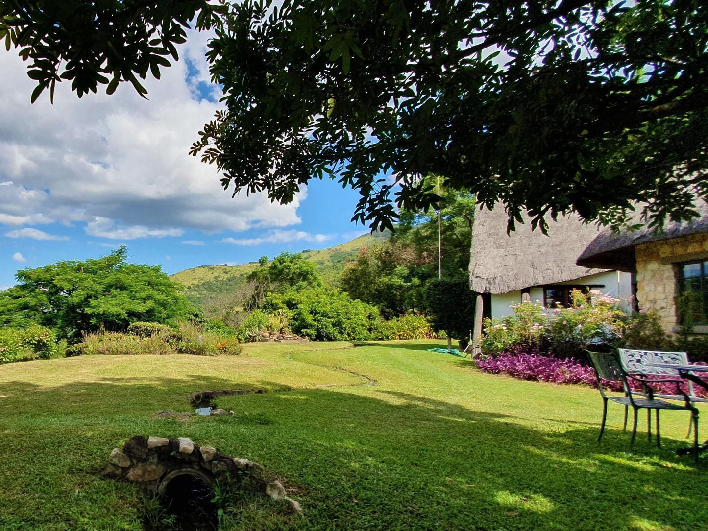 Wide Horizons Mountain Retreat, Garden, Nature, Plant, Highland