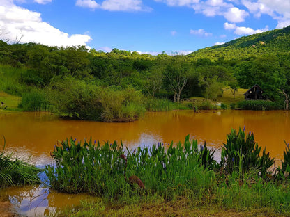 Wide Horizons Mountain Retreat, Colorful, River, Nature, Waters