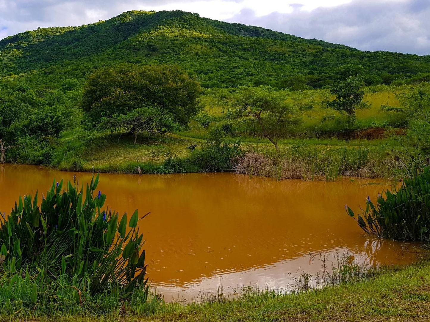 Wide Horizons Mountain Retreat, Colorful, River, Nature, Waters