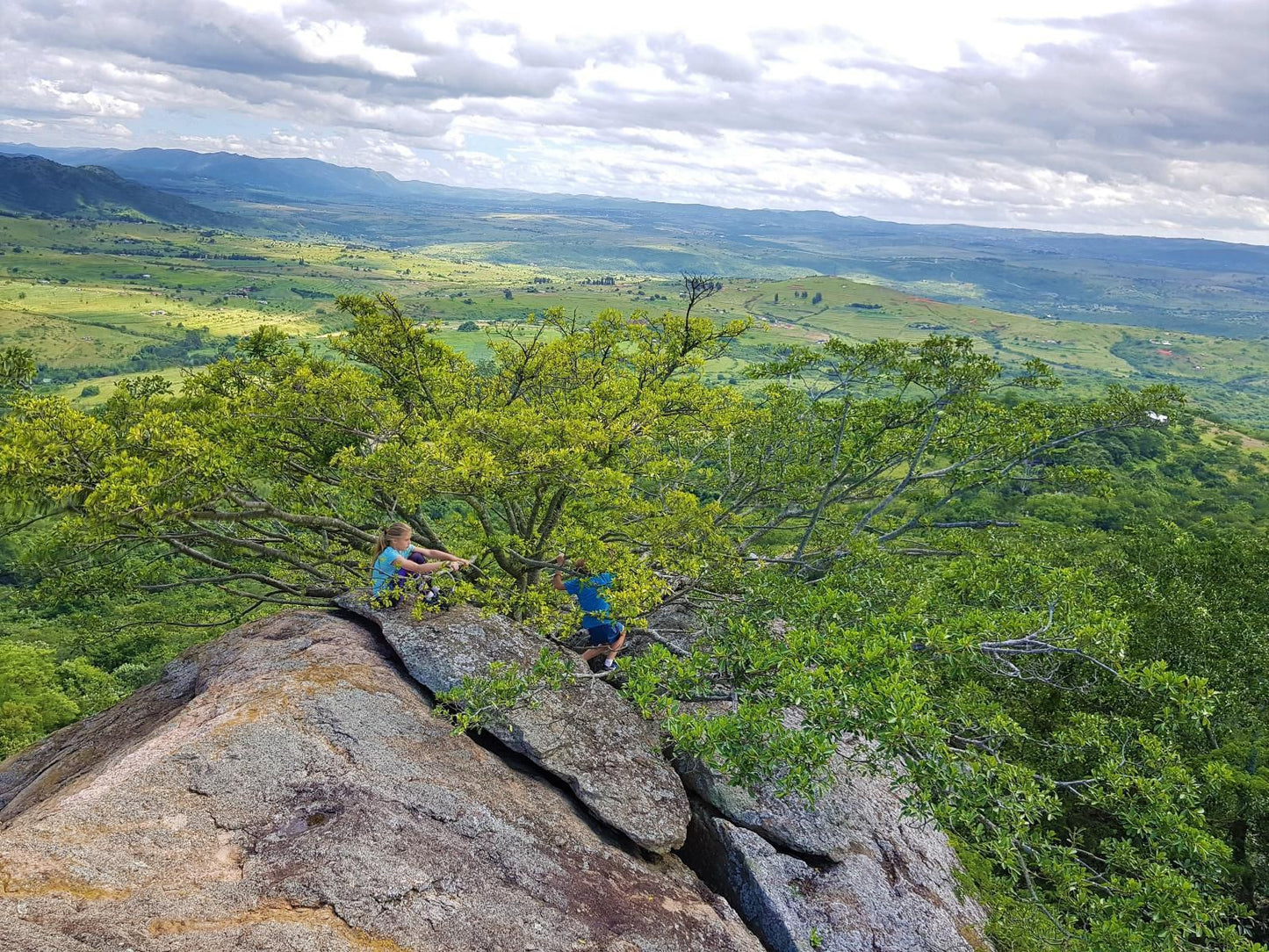 Wide Horizons Mountain Retreat, Tree, Plant, Nature, Wood, Climbing, Funsport, Sport