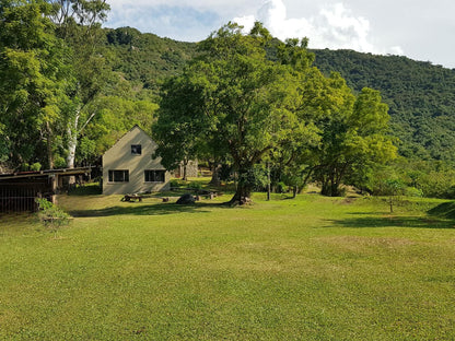 Wide Horizons Mountain Retreat, Campsite, Tree, Plant, Nature, Wood