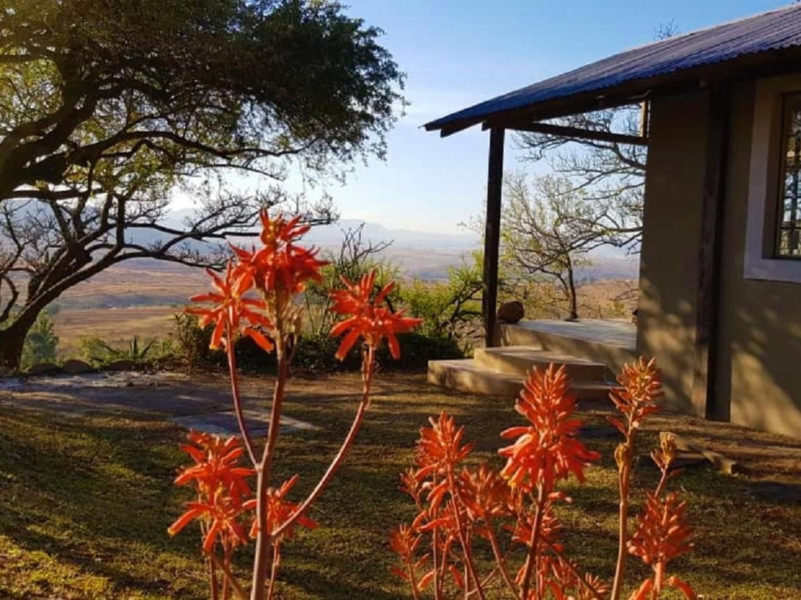 Wide Horizons Mountain Retreat, Ligwalagwala, Plant, Nature