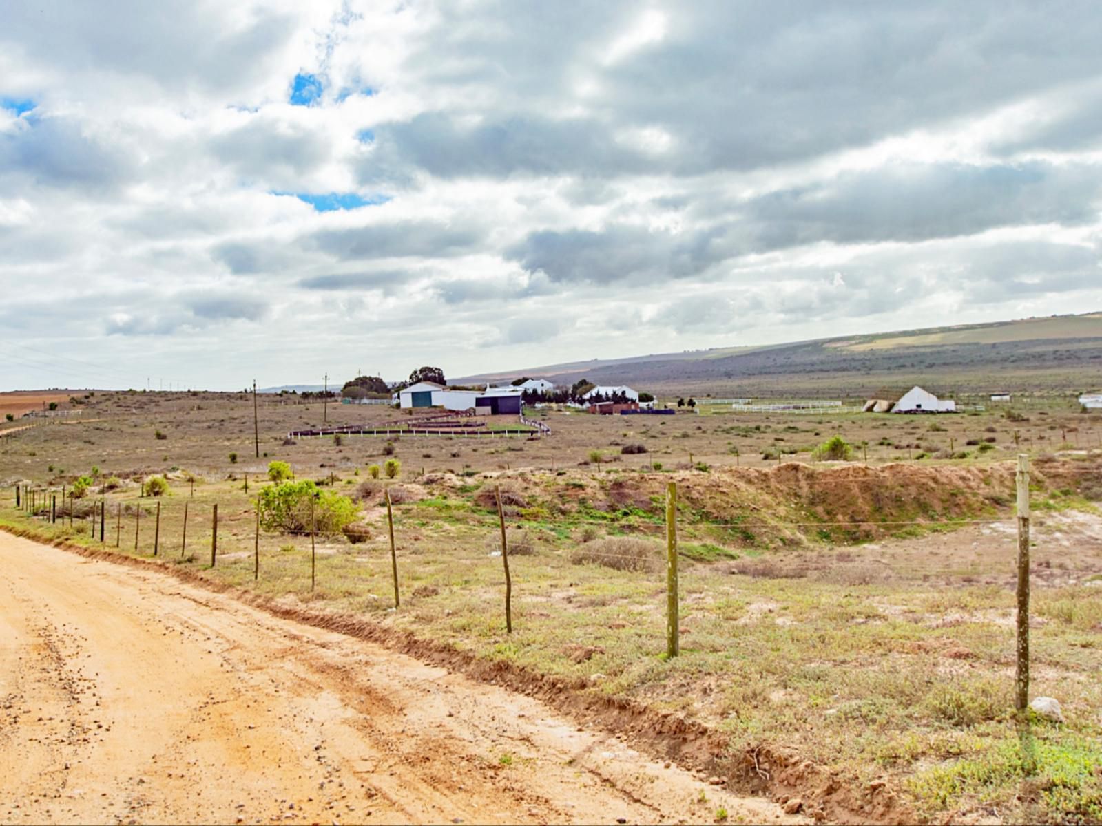 Wiggins Self Catering, Field, Nature, Agriculture, Lowland