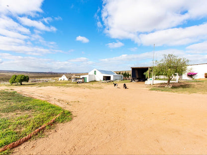 Wiggins Self Catering, Colorful, Lowland, Nature