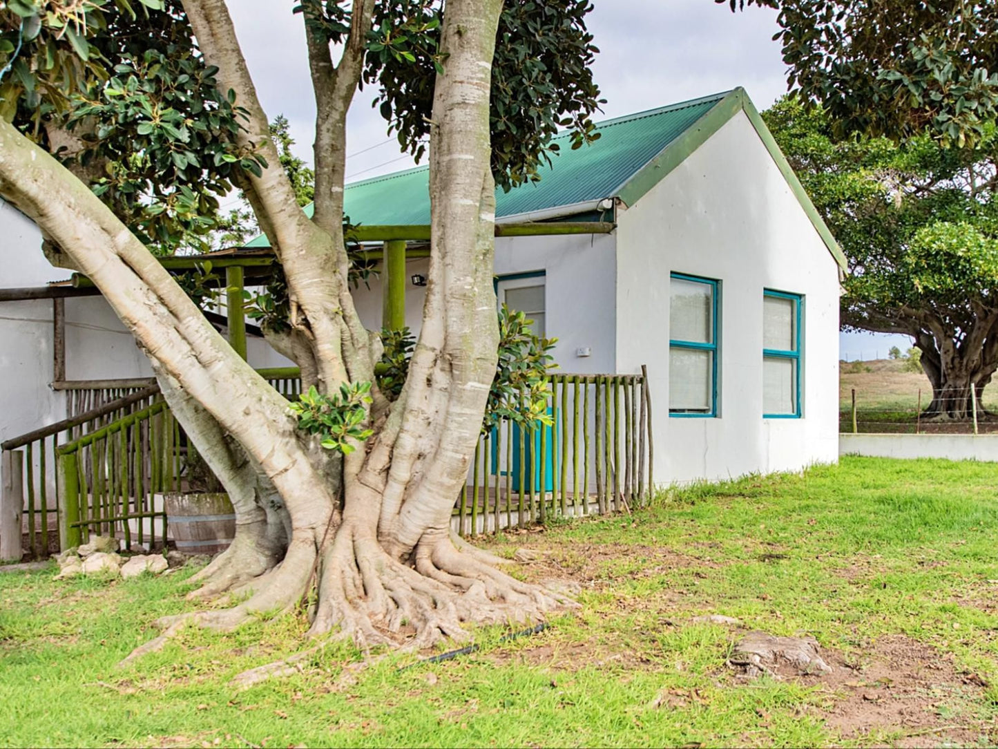 Wiggins Self Catering, Two Bedroom Cottage, House, Building, Architecture, Palm Tree, Plant, Nature, Wood