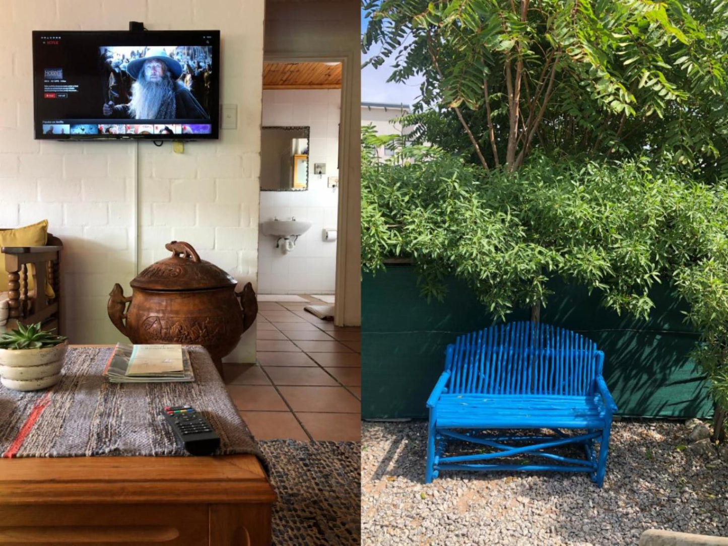 Wild Aloe Accommodation, Plant, Nature, Living Room