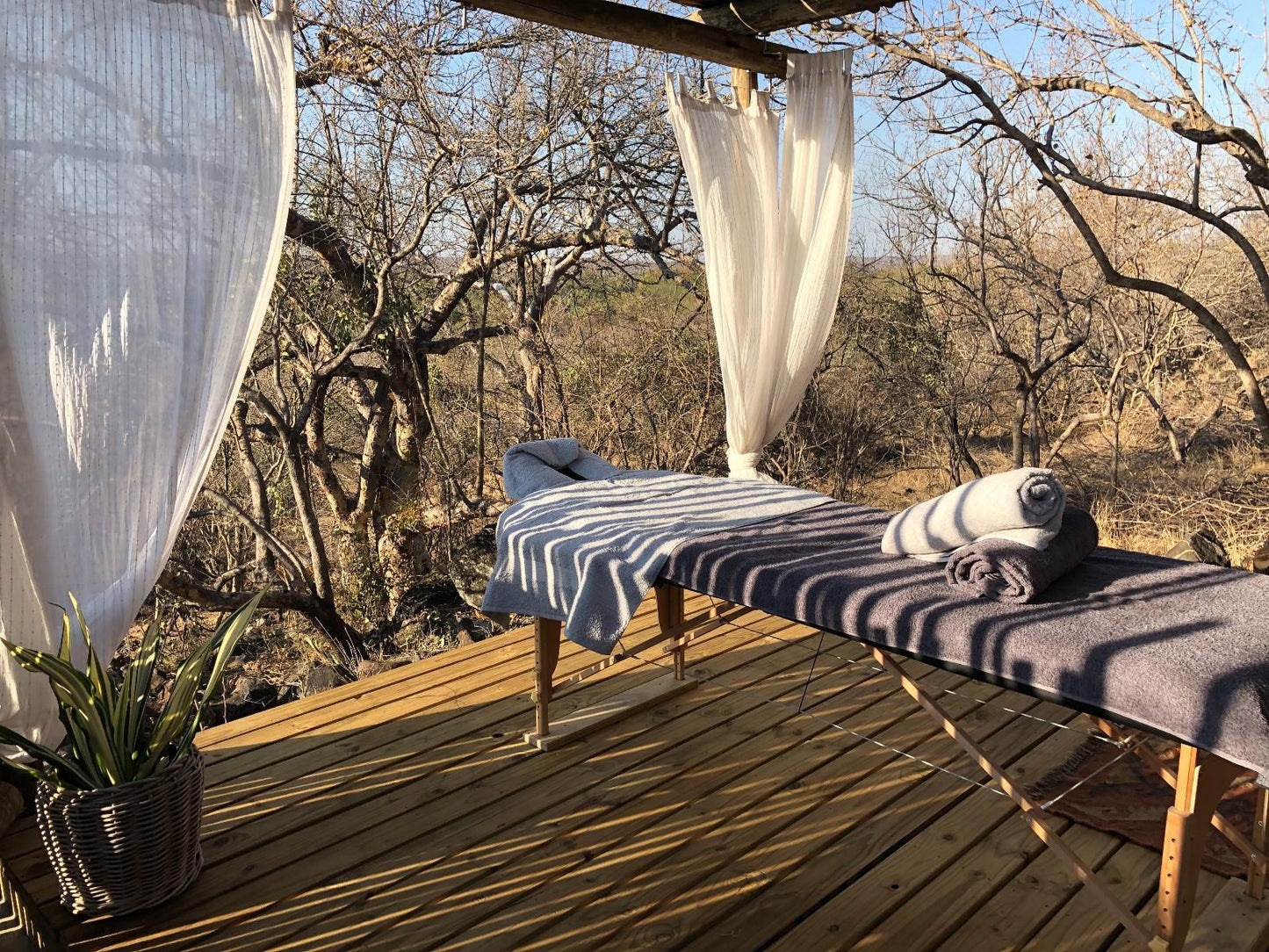 The Wild Blue Lodge Safari And Spa Ndlovumzi Nature Reserve Hoedspruit Limpopo Province South Africa 