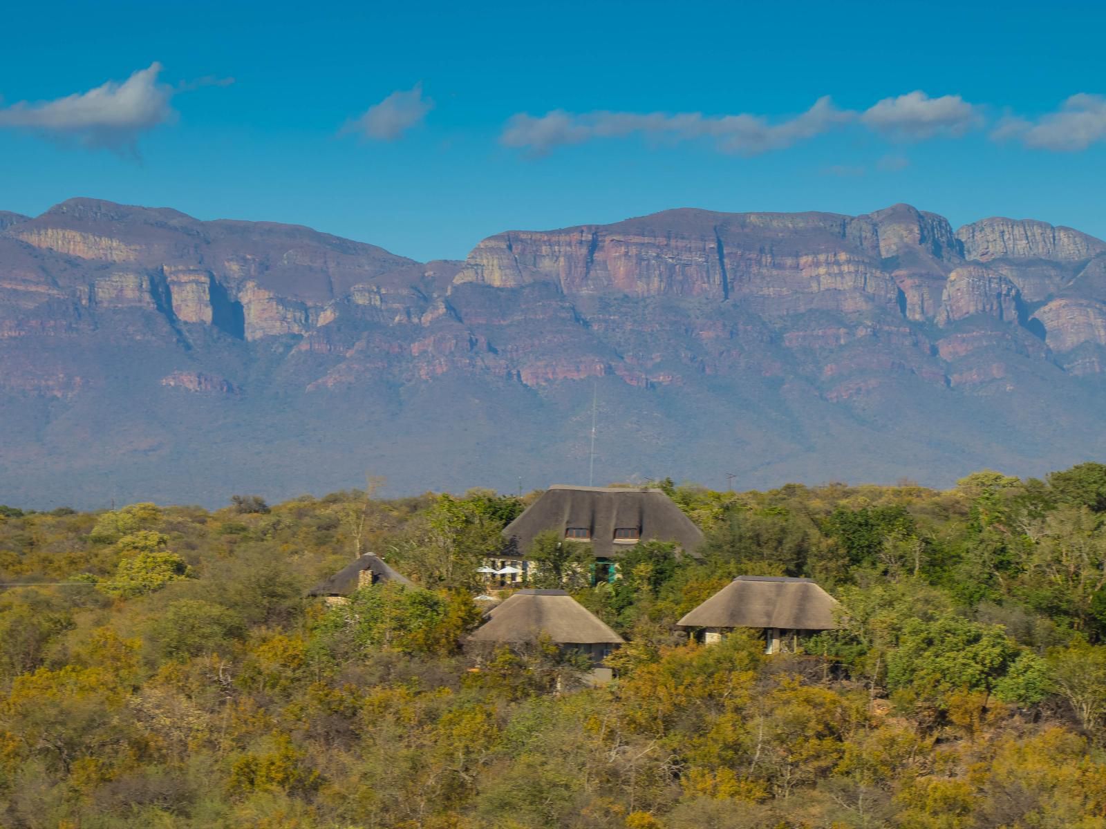 The Wild Blue Lodge Safari And Spa Ndlovumzi Nature Reserve Hoedspruit Limpopo Province South Africa Complementary Colors